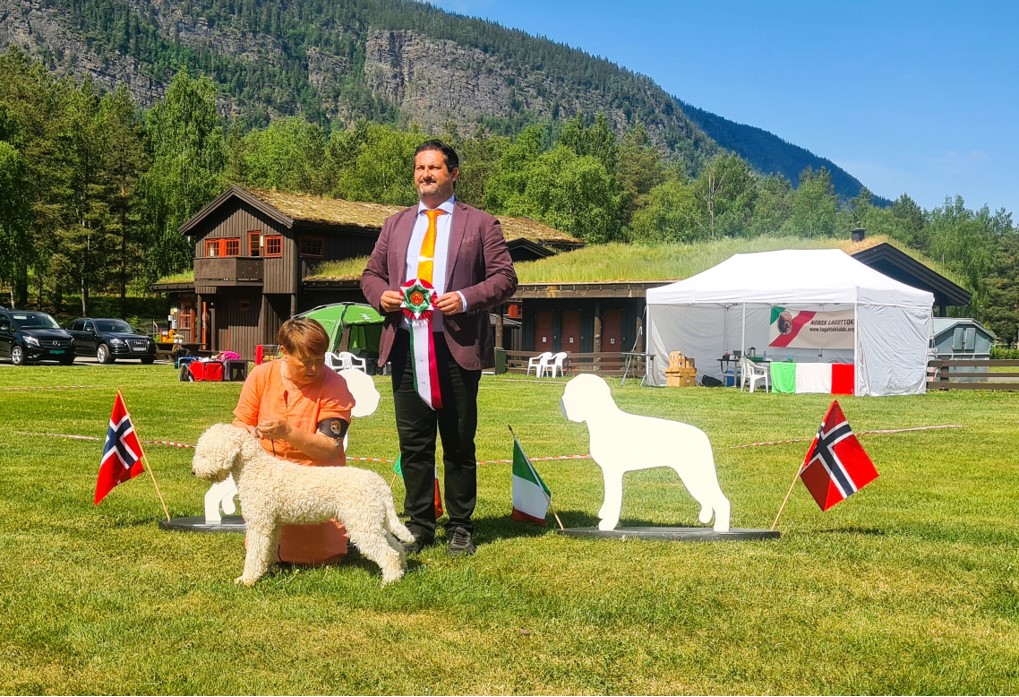 5C9B5D837FC0403CB2C2E571170128FD